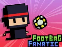 image Footbag Fanatic